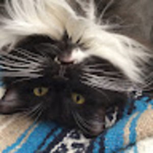 Meet your Posher, Elaine